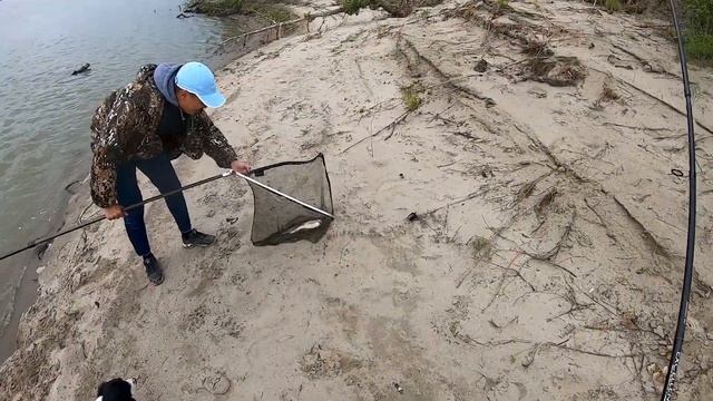 Фидер на Иртыше.ВОТ ЭТО ЯЗЬ!!!Крупный лещ!Рыбалка в Казахстане! смотреть онлайн