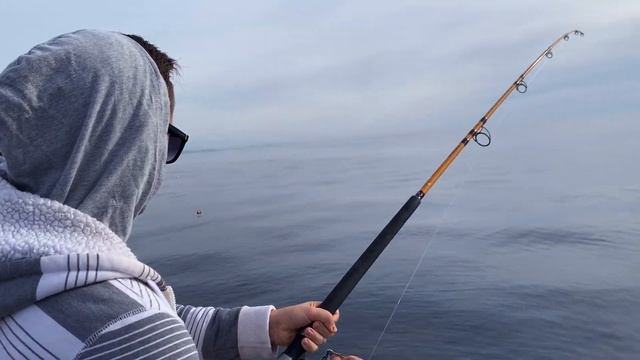 Где отдохнуть в Калифорнии? | Рыбалка в Dana Point смотреть онлайн