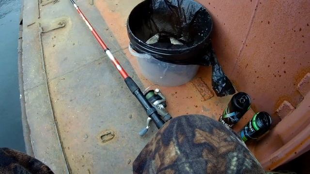 Рецепты Здорового Питания