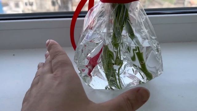 Розы ДИОР на день рождения смотреть онлайн