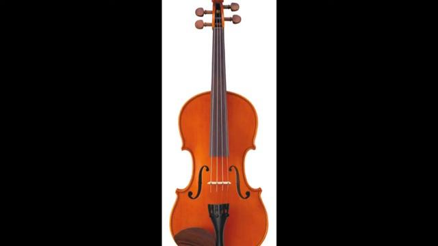 Electro House Violon Electro Violin 電小提琴 電気バイオリン электро скрипка