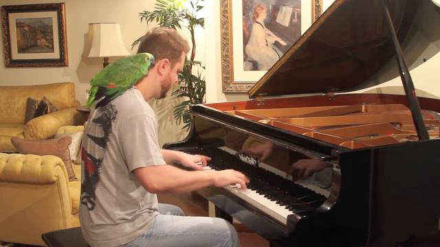 Angry Birds on Piano смотреть онлайн