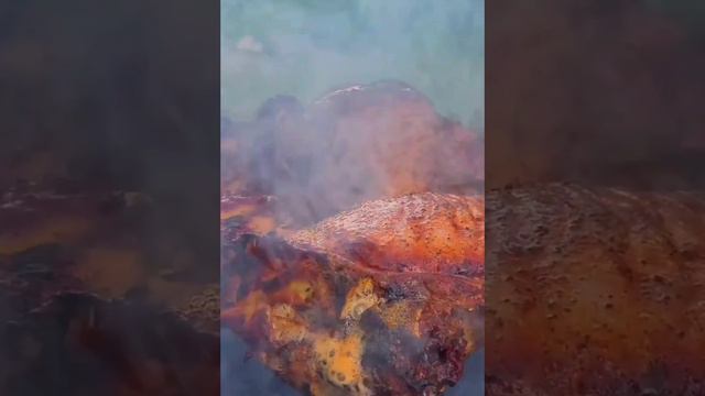 сочный шашлык смотреть онлайн
