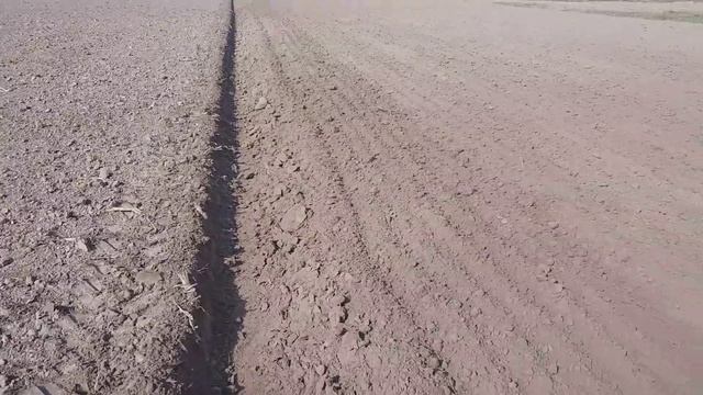 Участок под чеснок. Подготовка и обработка почвы. Завершающий этап.