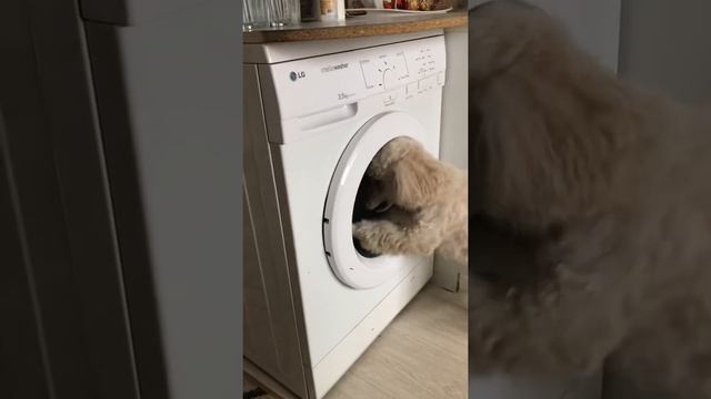 Стираем Асины игрушки смотреть онлайн