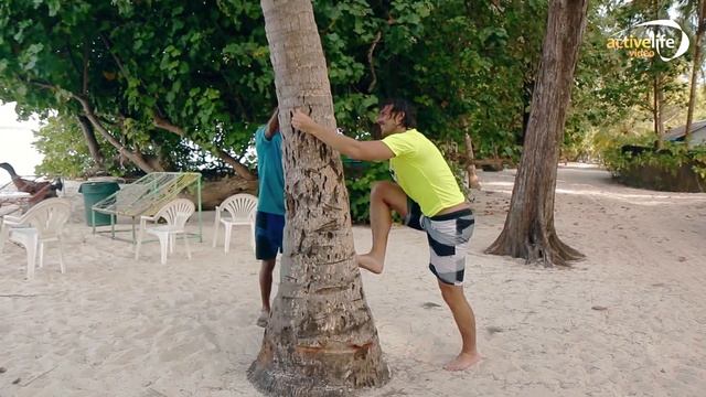 ОТДЫХ НА МАЛЬДИВАХ | кокосовая ферма - как выбрать и открыть кокос смотреть онлайн