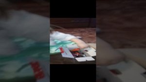 Новый год 2022