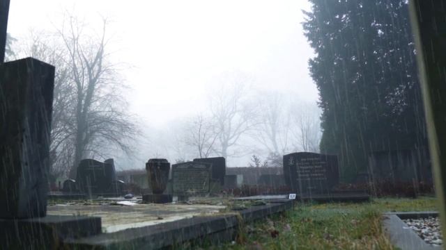 "Тоска белого камня.." смотреть онлайн