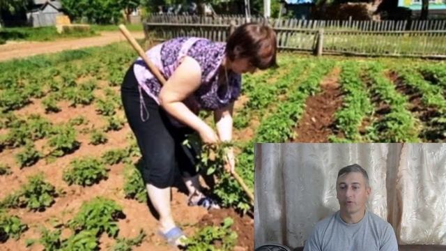Нужны ли в наше время огороды или может не надо? смотреть онлайн