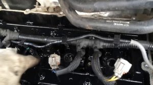 Форд Транзит 2.2 cdi схватывает и не заводится