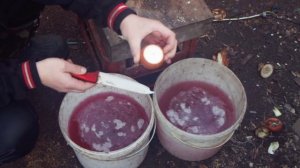 Подготовка лука к посадке ( на перо)