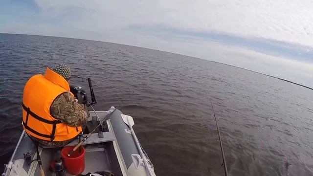 Супер клёв плотвы на Ладожском озере смотреть онлайн