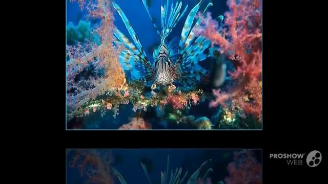 банк_горящ_туров. банк_горящ_туров_смотреть смотреть онлайн