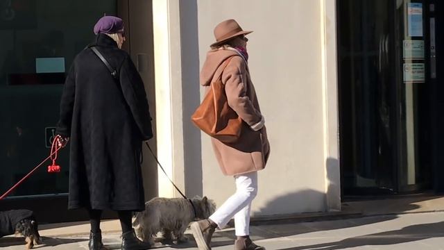 Абстрактные Эхо