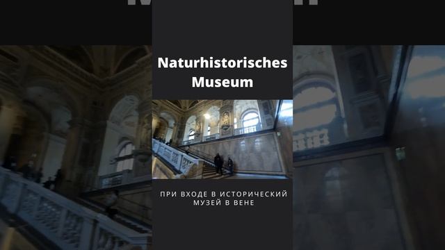 Naturhistorisches Museum #shorts смотреть онлайн