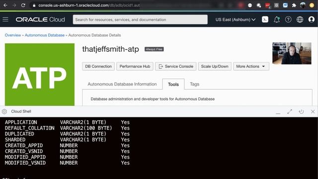 A SQL Prompt in your Browser? Using SQLcl in Oracle Cloud Shell! смотреть онлайн