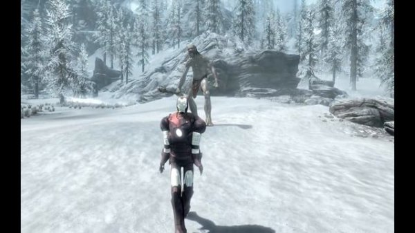 Skyrim  Прикол 29