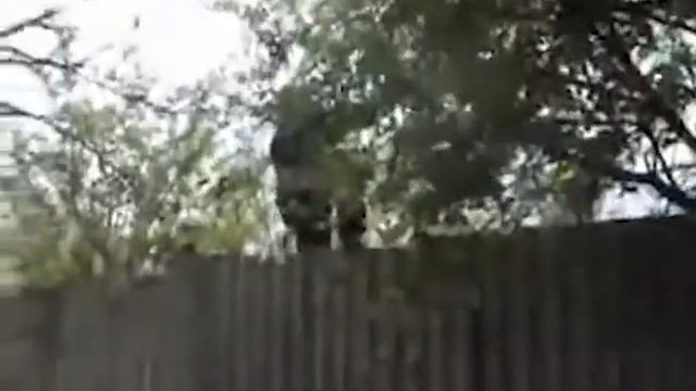 МОИ НАВЫКИ ПАРКУРА WebM #7