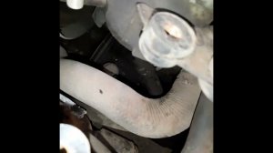 Заменя ремня ГУР Тойота Хайс