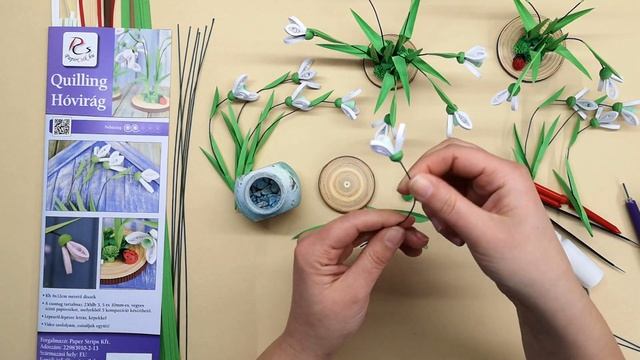 Quilling Minta - Hóvirág | PapírCsík.hu