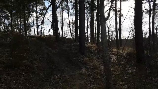 Ответственность техника в ЧОПе. Ответ на вопрос. смотреть онлайн