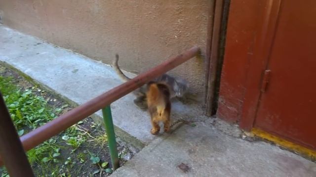 ШОК!! ОТДАЛАСЬ НА ВЫПУСКНОМ!! смотреть онлайн