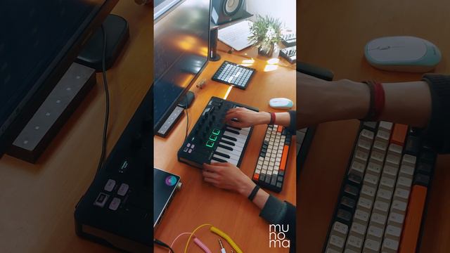 Y2mate.mx-Mr. President - Coco Jamboo (Live Loop Cover) _ Minilab 3 #ableton #arturia смотреть онлайн