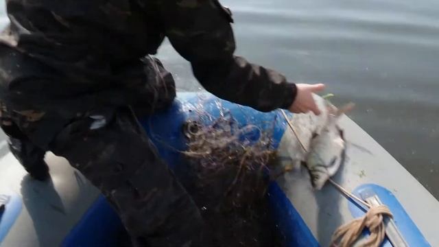 Штрафы за сети 17.05.2021 смотреть онлайн