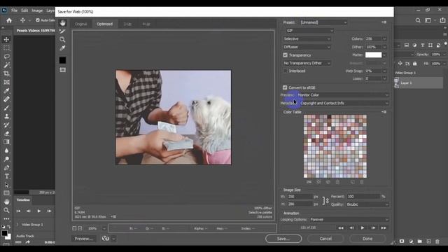 How to export timeline as gif in photoshop cc 2020 | Convert a mp4 to gif смотреть онлайн
