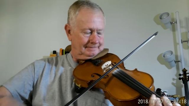 Silver Among The Gold Gliga Violin Helicore Strings
