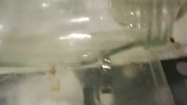 Lifehack. Клей, скотч, смола - отклеиваем, отчищаем.