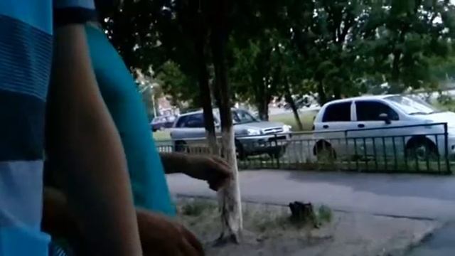 Тест замедленной съемки galaxy s4 octa core смотреть онлайн