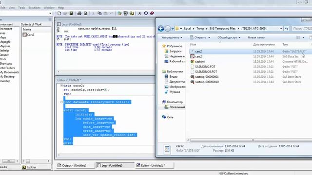 SAS_Audit смотреть онлайн