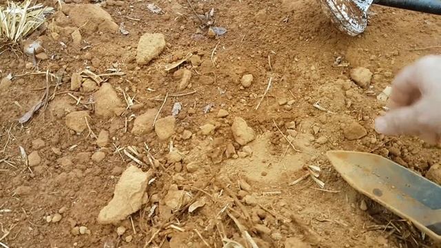Detectando Metais proximo a uma erosão com um Gold Monster 1000 MINELAB смотреть онлайн