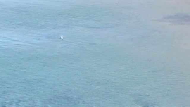 Черное море Тамань 2 смотреть онлайн