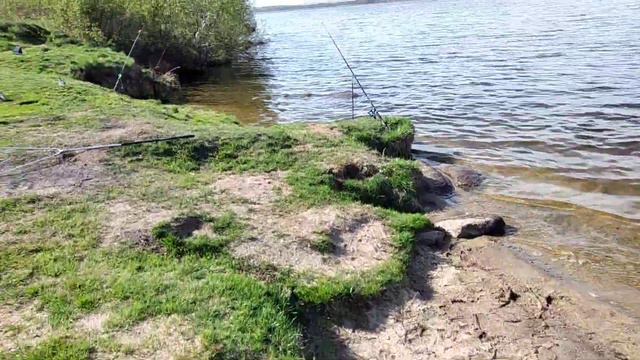 Клевал отлично первый Верхисетский лещ.