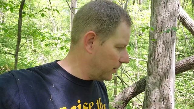 Finding Big Morels on SECRET GPS Waypoints смотреть онлайн