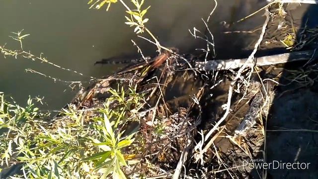 Рыбалка на реке Уй ,Октябрьский район.сентябрь 2018. смотреть онлайн