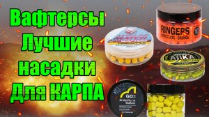 Вафтерсы - НАСАДКИ НА КАРПА, КОТОРЫЕ РАБОТАЮТ ВЕЗДЕ  Лучшие насадки на карпа