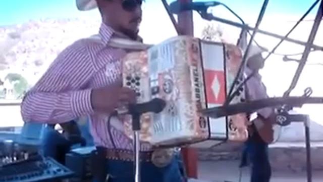 Triple X polka (cover) DAR смотреть онлайн