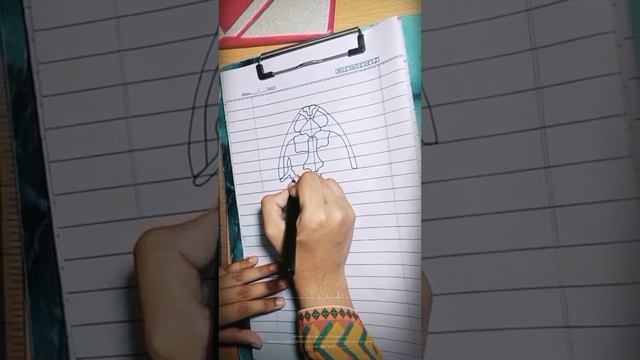 How to draw step by step| Dorsal View of Frog Skull | Bio ptactical | 2nd year | Easy way | смотреть онлайн