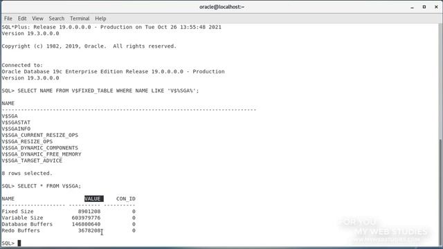 ? CURSO ORACLE CONICIENDO LA SGA : ? MAS CURSOS EN LA DESCRIPCION смотреть онлайн