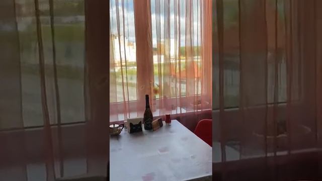 Зеленоградск. Аренда. Апартаменты Amber Room смотреть онлайн