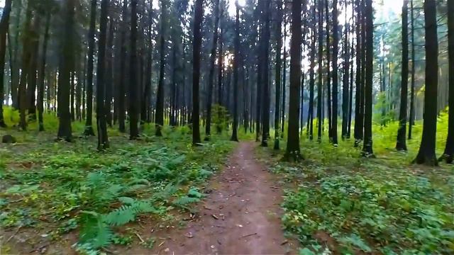 От зари до зари