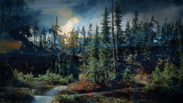 Валентина Журавская, романс 