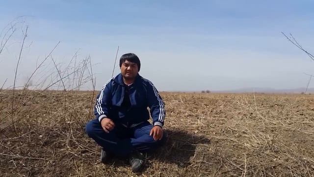 Среднеазиатская овчарка, должна ли она кусаться смотреть онлайн