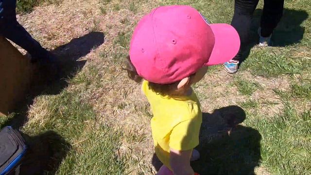 🍓 Strawberry Picking at Johnson's Farm Produce | Hobart, Indiana 🍓 смотреть онлайн