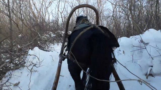 На лошади через р.Алей по обрывистому берегу. смотреть онлайн