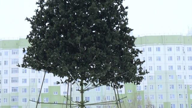 Новый год 14.12.2020 смотреть онлайн