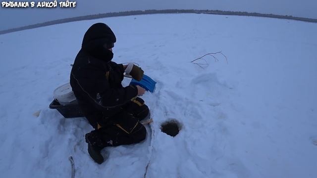 Ловим налима после нереста. И с ходу трофей смотреть онлайн